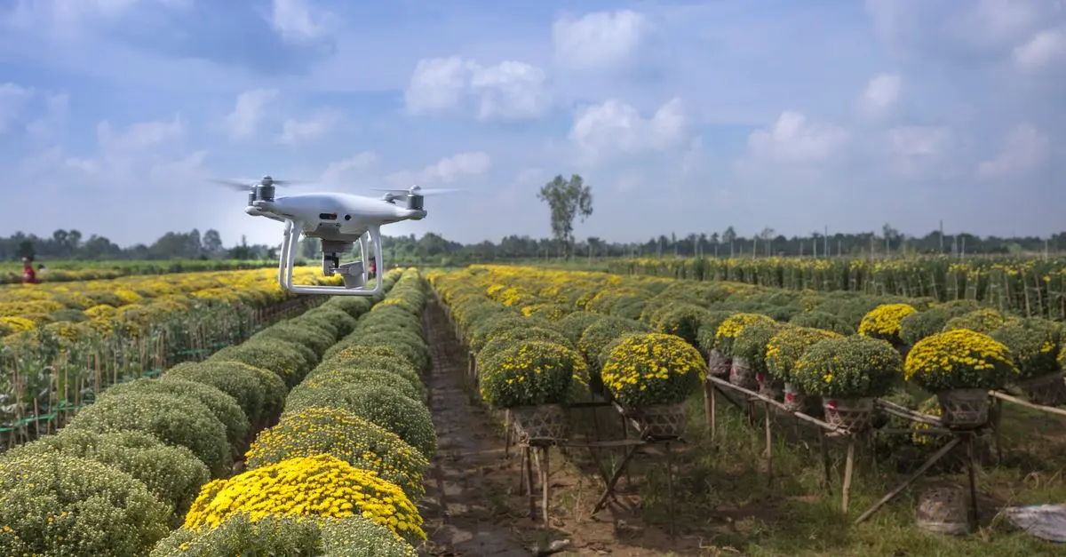 Reseña: Los Mejores Drones para Fotografías de Viaje