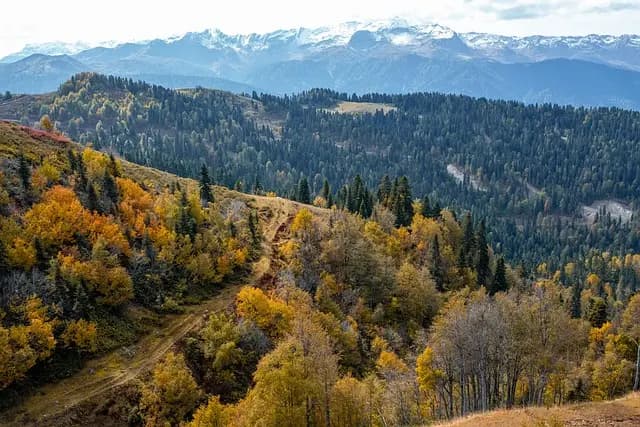 Las Mejores Rutas de Senderismo para Aventureros