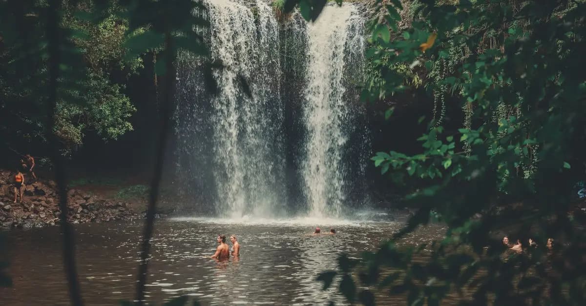 Todo lo que Debes Saber sobre el Ecoturismo