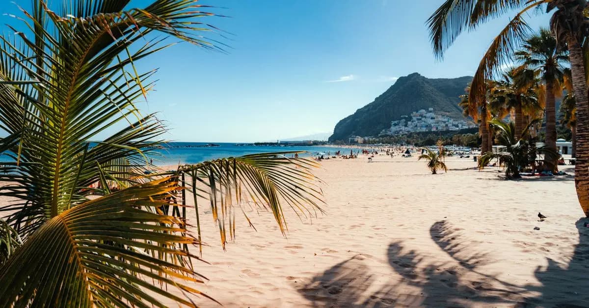 Las Mejores Actividades para Hacer en la Playa
