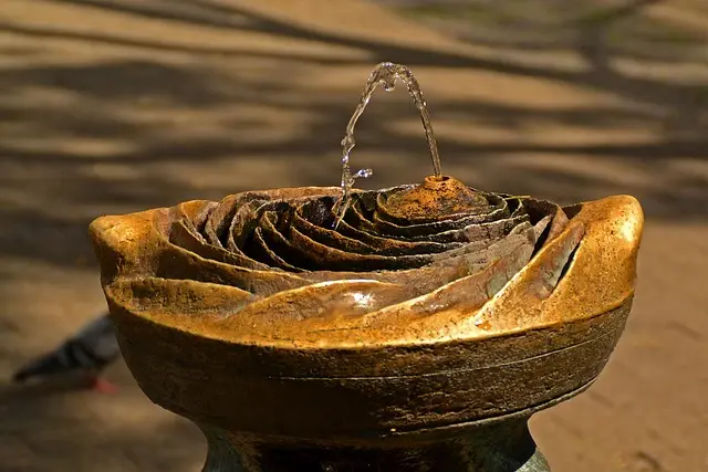 Los Mejores Destinos para Aventuras en el Agua