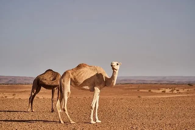 Cómo Planificar un Viaje de Aventura Sostenible: Consejos Clave