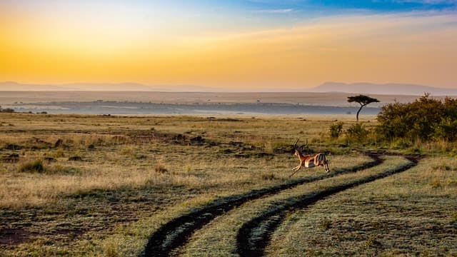 10 Consejos para Viajar de Manera Sostenible